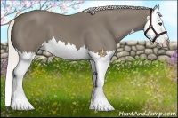 Horse Color:Silver Smoky Black Splash 