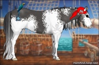 Horse Color:White Spotted Black Sabino