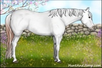 Horse Color:Grullo Roan Varnish Rabicano