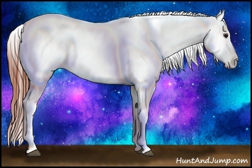Horse Color:Bay Dun Near Leopard 