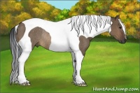 Horse Color:Brown Dun Tobiano Rabicano