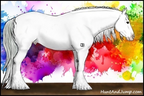 Horse Color:Watercolor Buckskin Blanket 