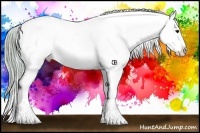 Horse Color:Watercolor Buckskin Appaloosa 