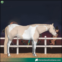 Horse Color:Perlino Tobiano 