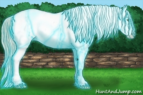 Horse Color:Thunderstruck Gold Champagne Ice Dun Appaloosa 