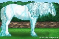 Horse Color:Thunderstruck Gold Champagne Ice Dun Appaloosa