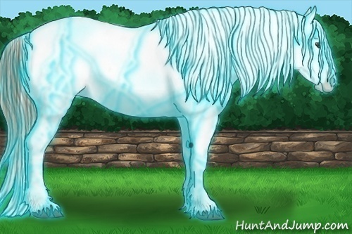 Horse Color:Thunderstruck Chestnut Ice Appaloosa 