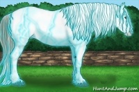 Horse Color:Thunderstruck Chestnut Ice Appaloosa 