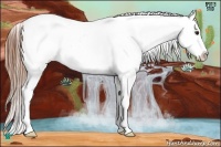 Horse Color:Classic Champagne Appaloosa 