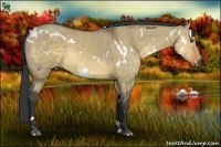 Horse Color:White Spotted Buckskin Dun Rabicano 