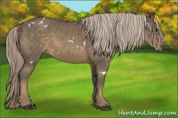 Horse Color:White Spotted Chocolate Palomino