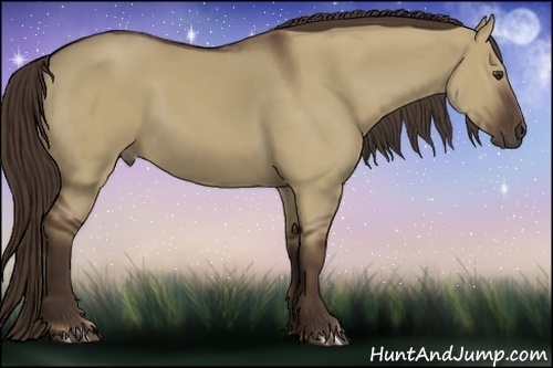 Horse Color:Liver Red Dun 