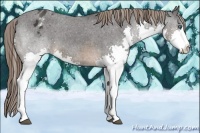 Horse Color:Brown Splash Varnish 