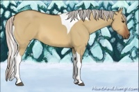 Horse Color:Silver Bay Dun Tobiano 