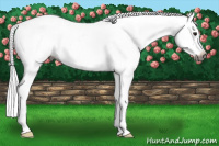 Horse Color:Gray Bay Roan Snowcap