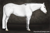 Horse Color:Gray Black Appaloosa