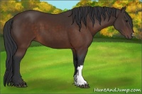 Horse Color:Brown 