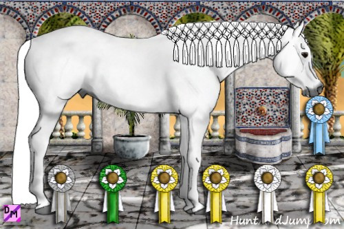 Horse Color:Gray Grullo