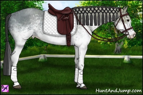 Horse Color:White Spotted Smoky Blue Ice Roan 