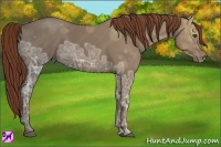 Horse Color:Chestnut Ice 
