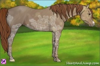 Horse Color:Chestnut Ice 