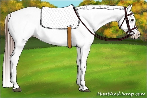 Horse Color:Grullo Sabino Blanket