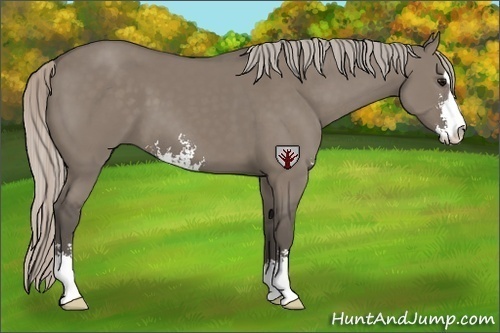 Horse Color:Silver Grullo Sabino 