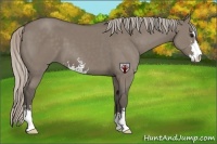 Horse Color:Silver Grullo Sabino 