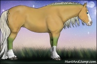 Horse Color:Watercolor Silver Bay Splash 