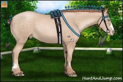 Horse Color:Buckskin Pearl 