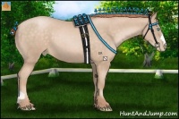 Horse Color:Buckskin Pearl 