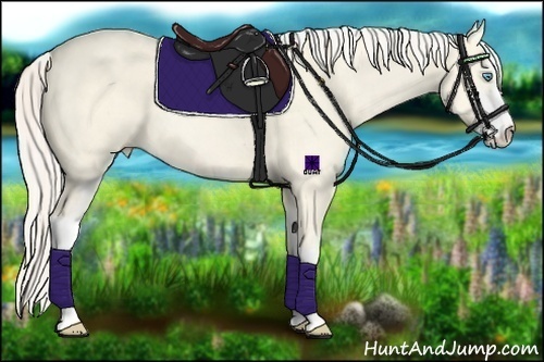 Horse Color:Cremello Dun Sabino 