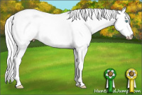 Horse Color:Gray White Spotted Perlino 