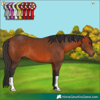 Horse Color:Brown 
