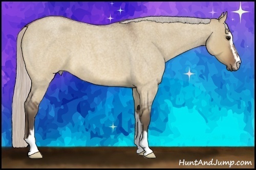 Horse Color:Silver Brown Roan Dun Sabino