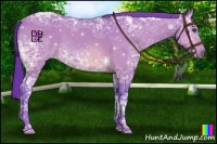 Horse Color:Watercolor Bay Ice