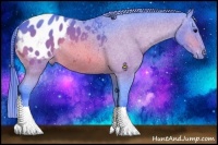 Horse Color:Watercolor Bay Appaloosa