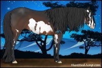 Horse Color:Brown Splash Frame 