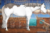 Horse Color:Silver Blue Roan Splash