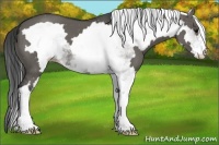 Horse Color:White Spotted Grullo Frame