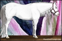 Horse Color:Liver Chestnut Splash Tobiano Blanket Rabicano 