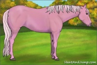 Horse Color:Watercolor Silver Bay