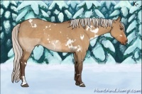 Horse Color:White Spotted Silver Bay Dun Sabino 