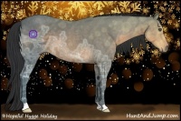 Horse Color:Buckskin Ice Roan 