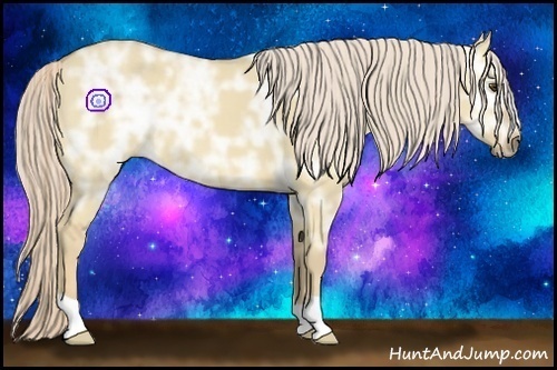 Horse Color:Palomino Ice Dun