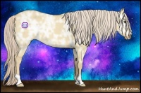 Horse Color:Palomino Ice Dun