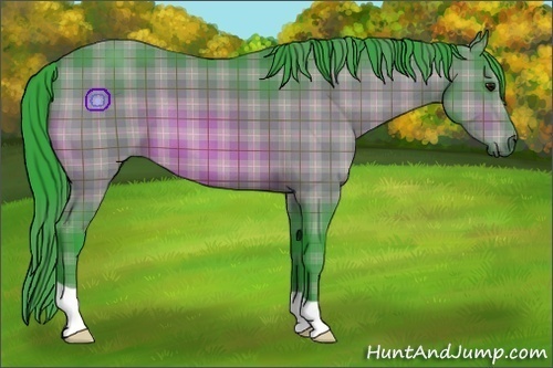 Horse Color:Watercolor Plaid  Bay 