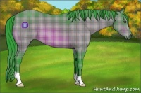 Horse Color:Watercolor Plaid  Bay 