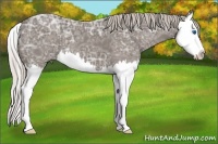 Horse Color:Silver Blue Ice Roan Splash 