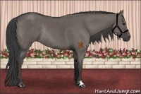 Horse Color:Smoky Grullo Rabicano 